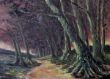 Der Wald.JPG