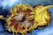Van Gogh Sonnenblumen.JPG